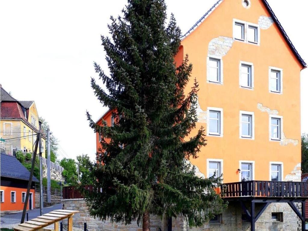 a large pine tree in front of a building at Holiday Apartment FeWo III in Reinhardtsdorf