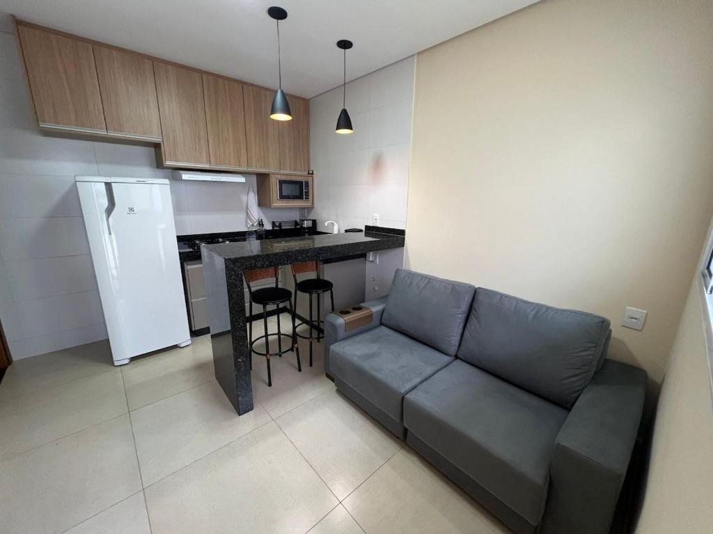 阿拉沙Aconchegante Studio de 1 Quarto em Araxá Ap02的客厅里有一张沙发和一个厨房
