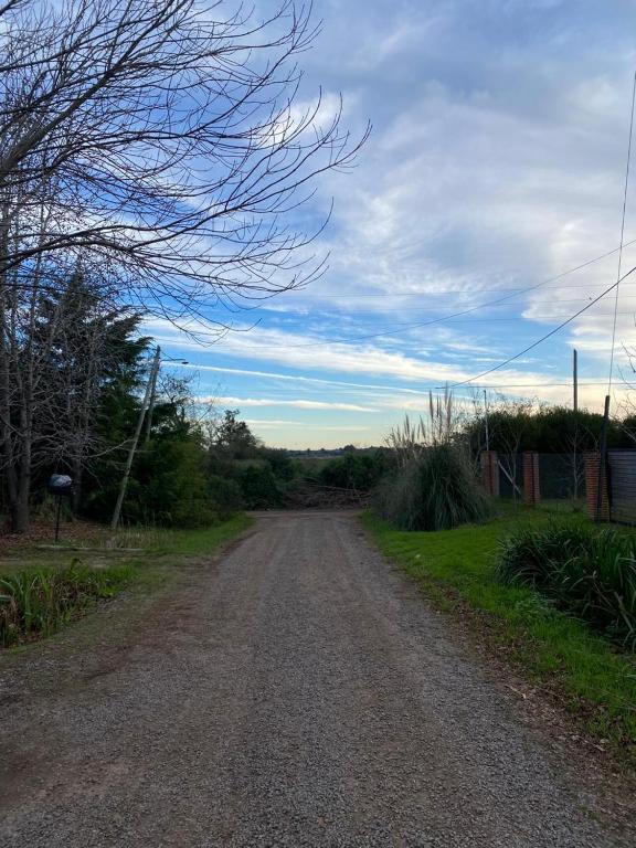 cabaña octogonal rodeada de naturaleza