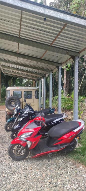 Fotografie z fotogalerie ubytování Glamping in jungle - Corcovado Nature Wonders - amazing views - available scooter v destinaci Puerto Jiménez