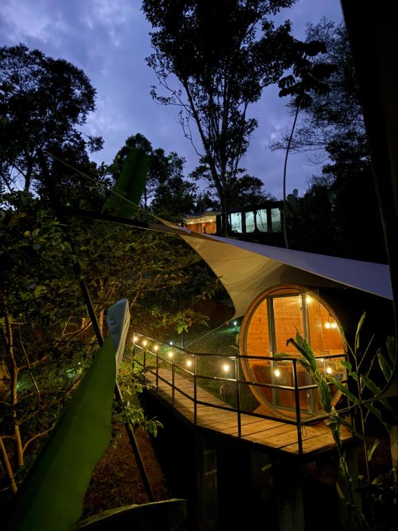 Zahrada ubytování Glamping in jungle - Corcovado Nature Wonders - amazing views - available scooter