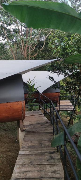 Fotografie z fotogalerie ubytování Glamping in jungle - Corcovado Nature Wonders - amazing views - available scooter v destinaci Puerto Jiménez