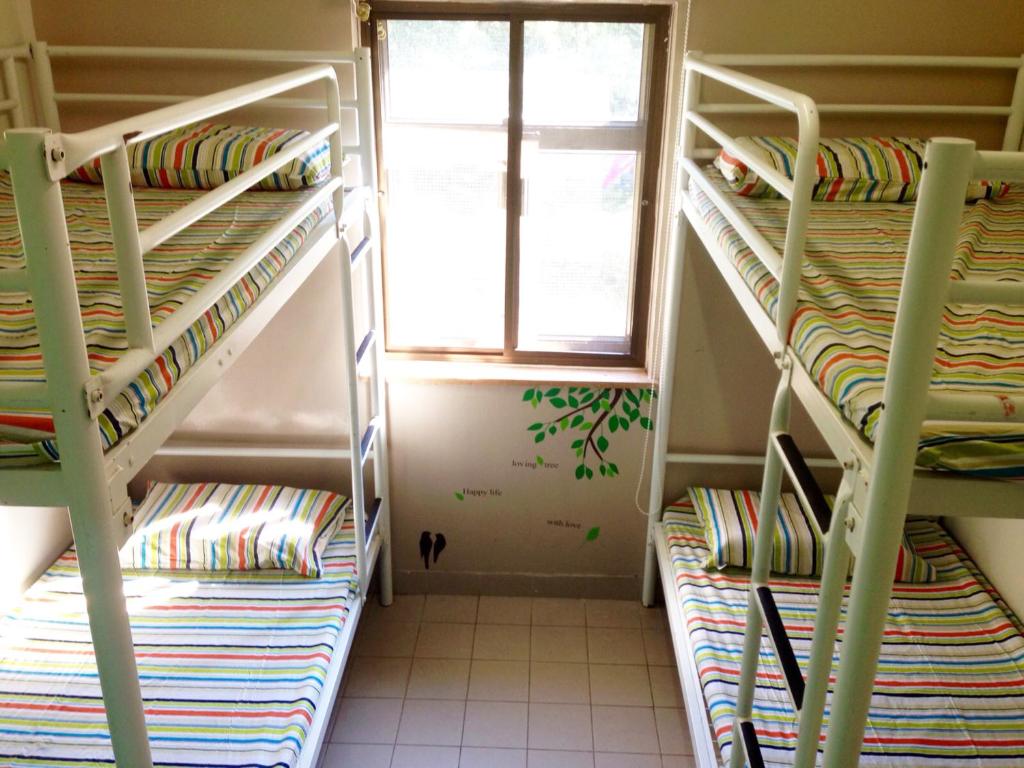 Letto o letti a castello in una camera di YHA Ngong Ping SG Davis Youth Hostel