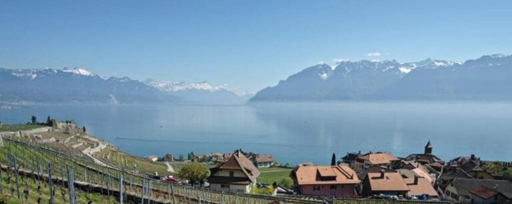 a town with a view of a lake and mountains at Superbe Studio en Plein Centre à Lausanne Gare in Lausanne