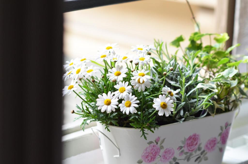 La Torre Bergamo House - 9