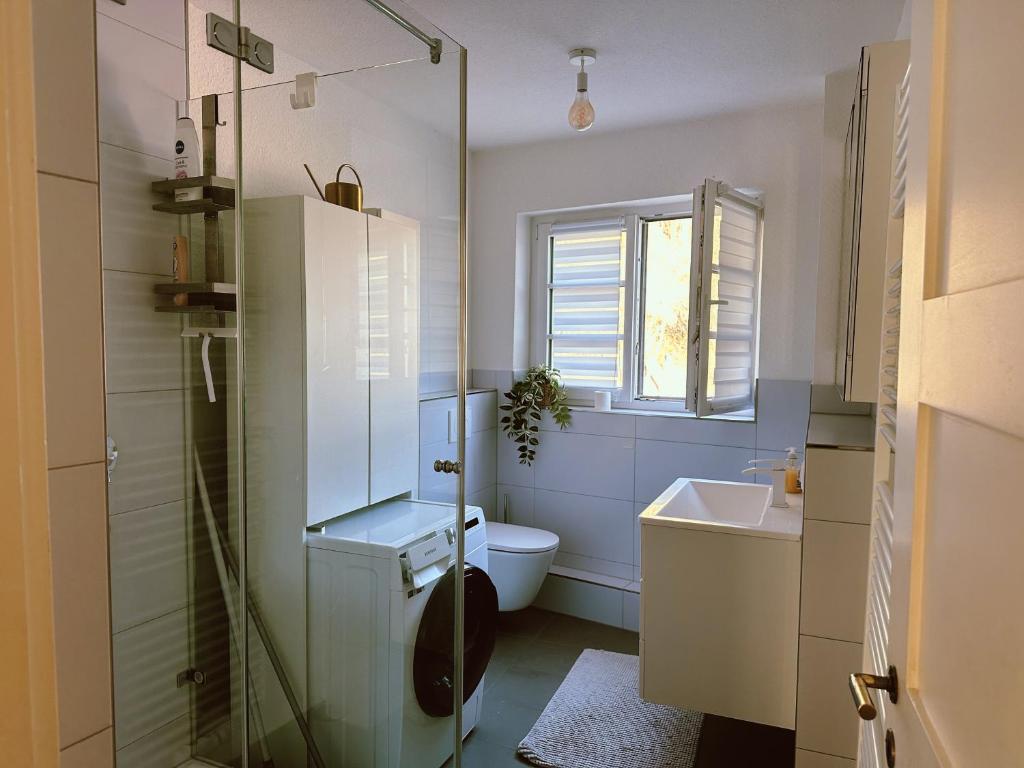 a bathroom with a toilet and a sink at Moderne City Wohnung - stylisch und schick mit 2 Schlafzimmern auf 100qm in Schwäbisch Hall