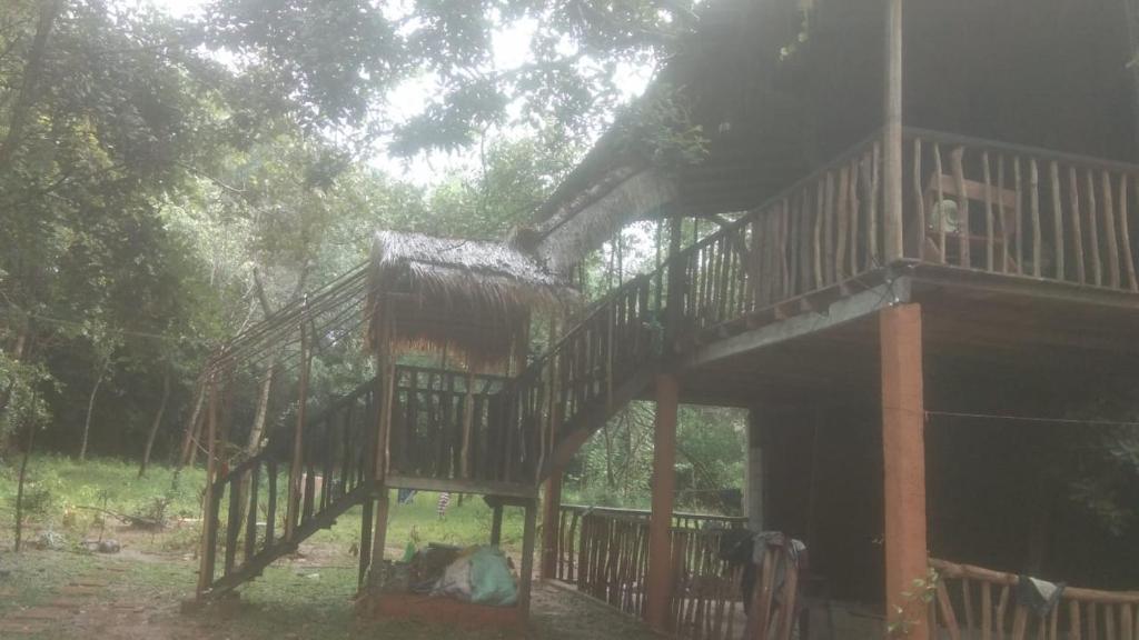 Zahrada ubytování Sigiri Tree Cabana
