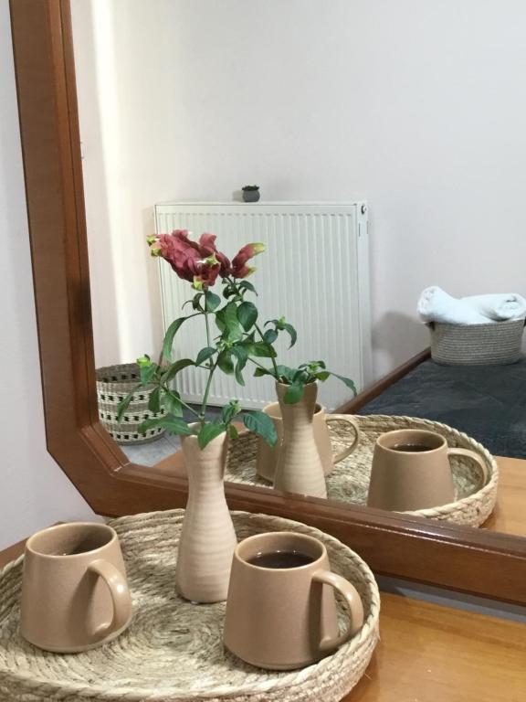 Fotografie z fotogalerie ubytování Hotel Triantafyllou v destinaci Káto Tithoréa