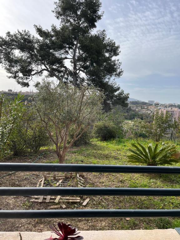 Príroda v okolí apartmánu