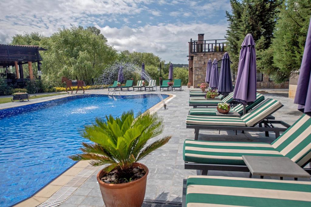 a pool with lounge chairs and umbrellas next to at Wineport Lodge Agva Riverside Hotel & Winery in Ağva