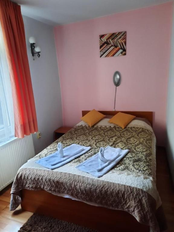 Postel nebo postele na pokoji v ubytování Pensiunea Paco