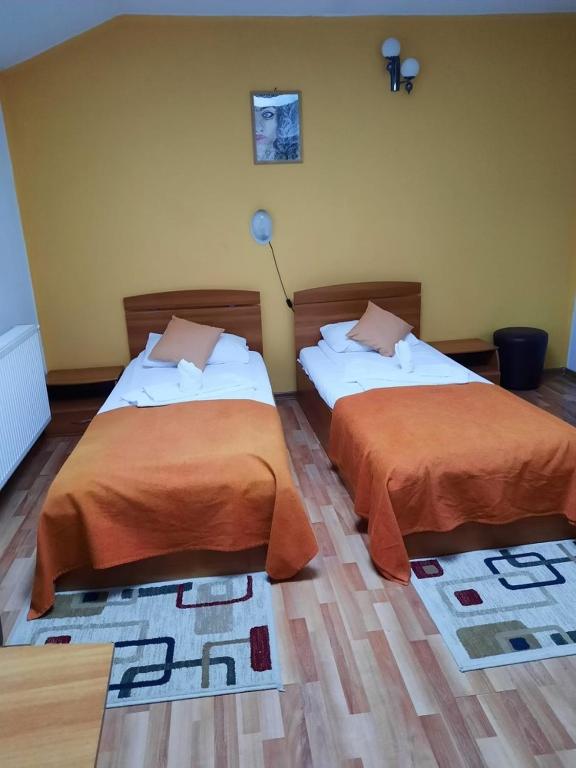 Postel nebo postele na pokoji v ubytování Pensiunea Paco