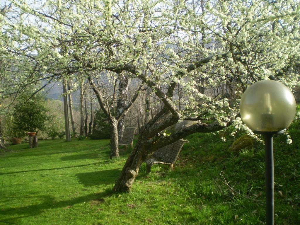 A garden outside I 3 Porcellini