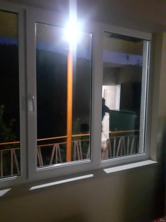 Domácí mazlíčci ubytovaní s hosty v ubytování Hangstyan tun antarayin