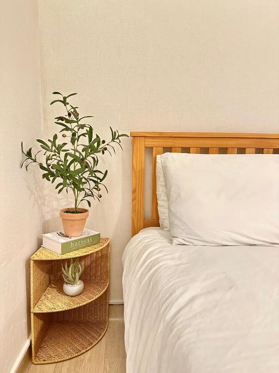 a bedroom with a bed and a plant on a night stand at 갓성비 암사역 도보 Yes24live 암사종합시장 한강공원 KSPO 2룸 2퀸 침대 in Seoul