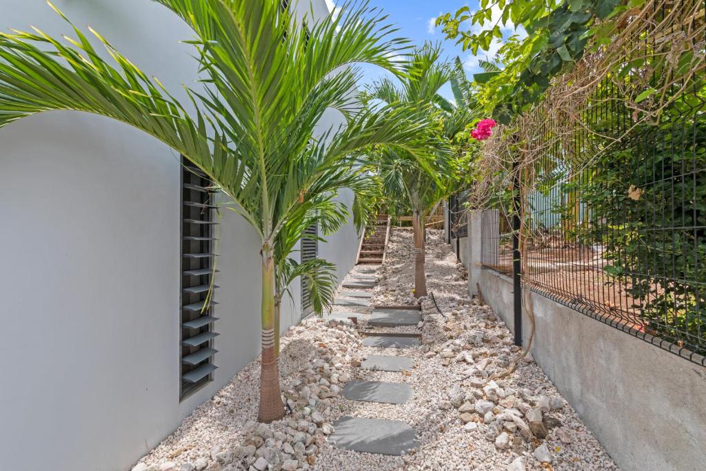 Vrt pred nastanitvijo Brakkeput Abou Villa & Studio near Jan Thiel