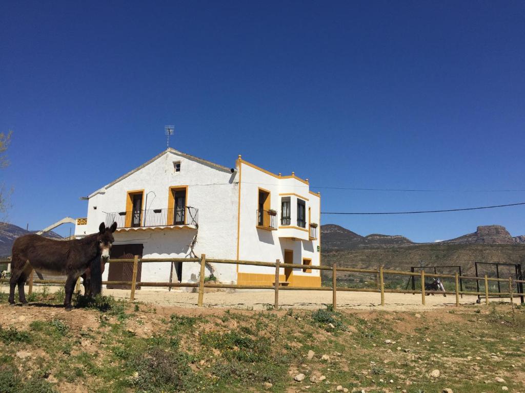 a horse standing in front of a white house at Casa Justo in Apiés