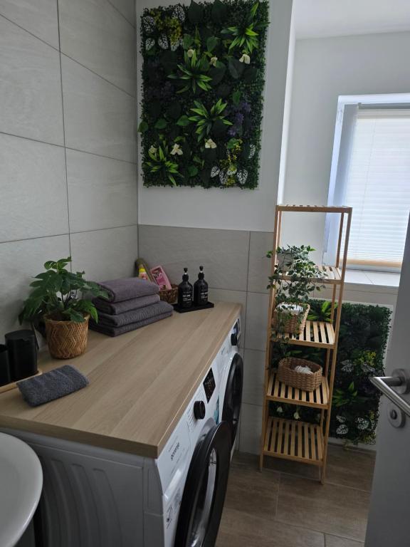 Tiger Apartment - 19