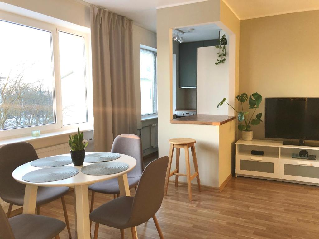 Μια τηλεόραση ή/και κέντρο ψυχαγωγίας στο Tallinn Panorama Apartment Majaka