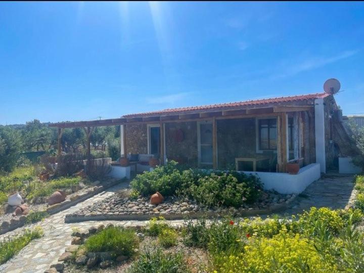 Zahrada ubytování Kenny's Villa