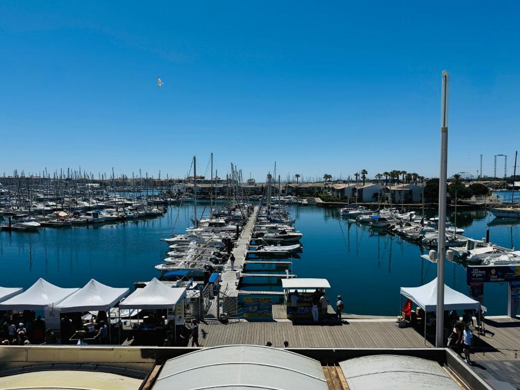カップ・ダグドにあるCap d'Agde F3 belle vue port avec Garage Piscine Climatisationの水中の船がたくさんあるマリーナ
