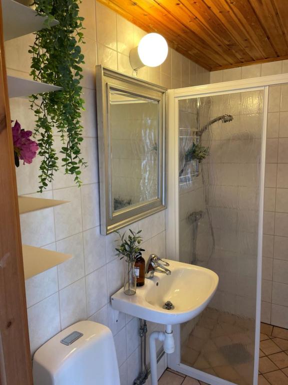 Koupelna v ubytování Gästhus i lummig trädgård