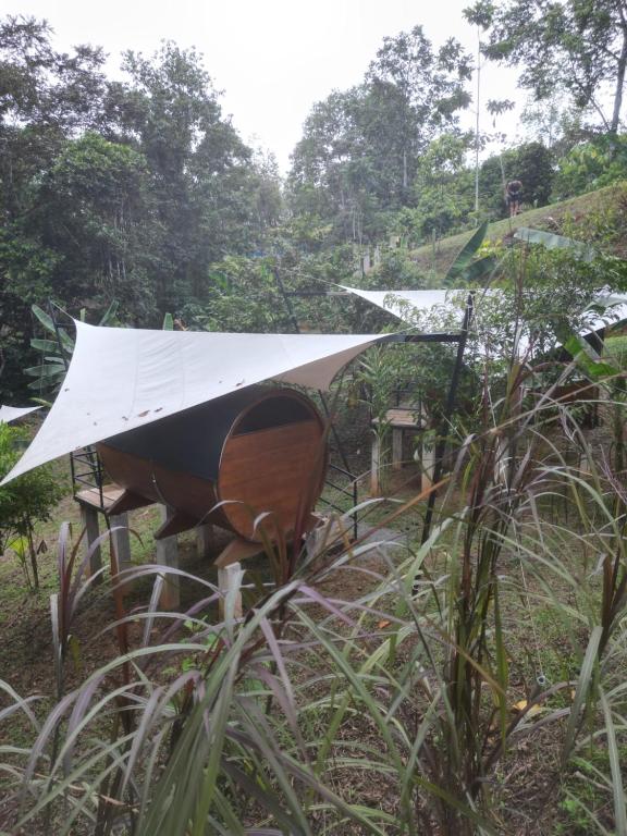 Fotografie z fotogalerie ubytování Glamping in jungle - Corcovado Nature Wonders - amazing views - available scooter v destinaci Puerto Jiménez