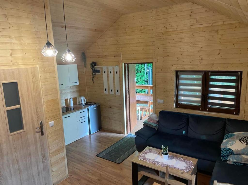 Kuchyňa alebo kuchynka v ubytovaní Chatka pod orzechem