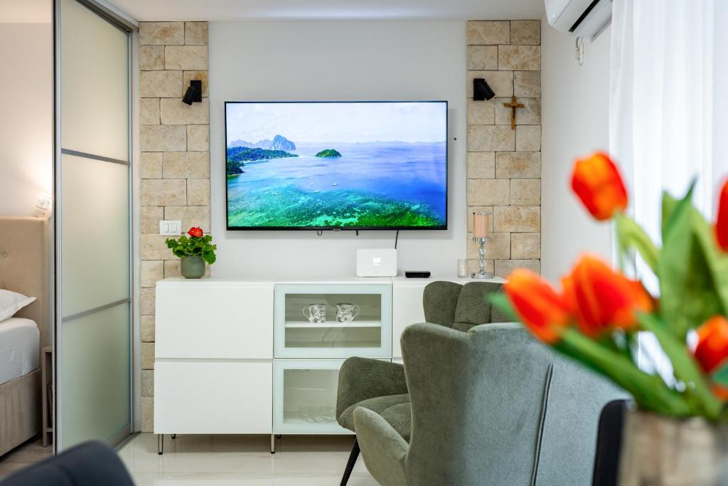 TV a/nebo společenská místnost v ubytování Villa Spalato