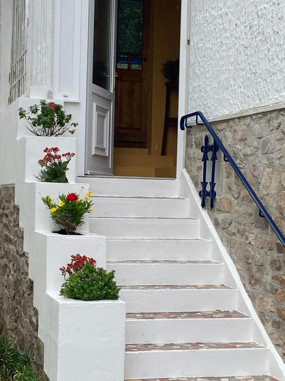 un escalier comportant deux plantes en pot dans l'établissement Maison 5 min de la plage, à Quiberon