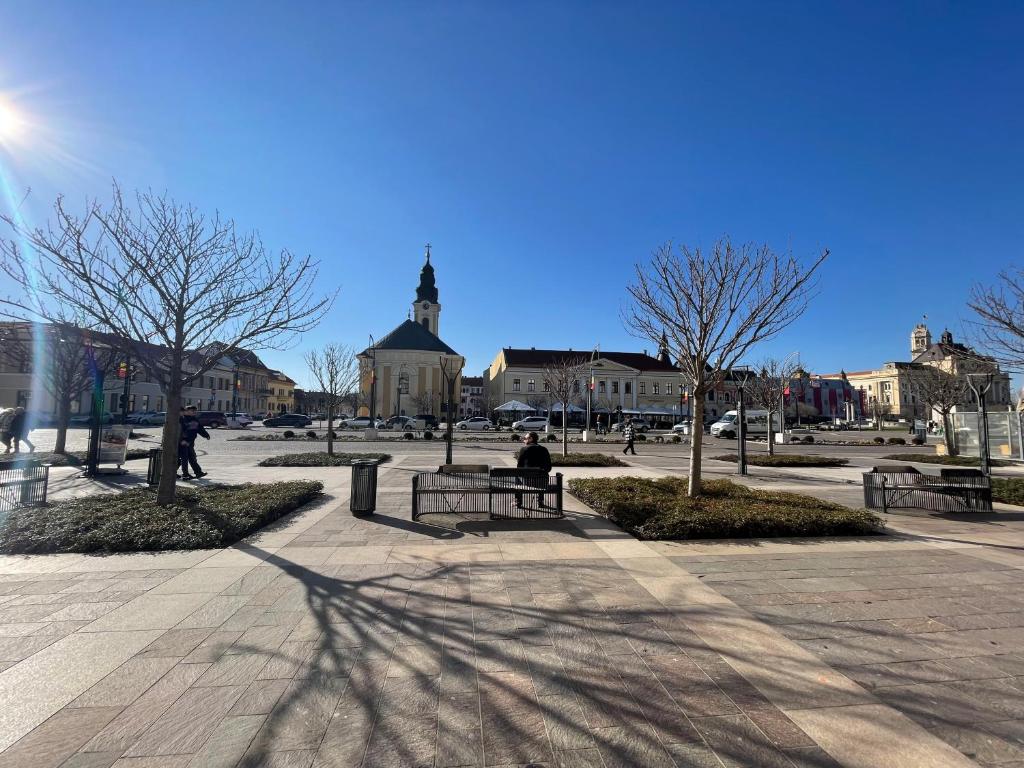 a shadow of a person sitting on a bench in a park at Art Apartment Ultracentral in Oradea