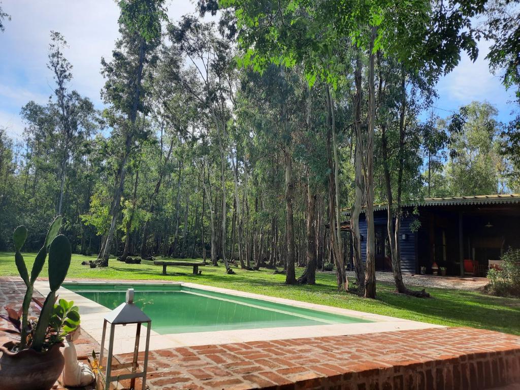einen Pool in einem Garten mit Bäumen in der Unterkunft Ramallo Lote 58 Estancia Estrella Federal in Ramallo