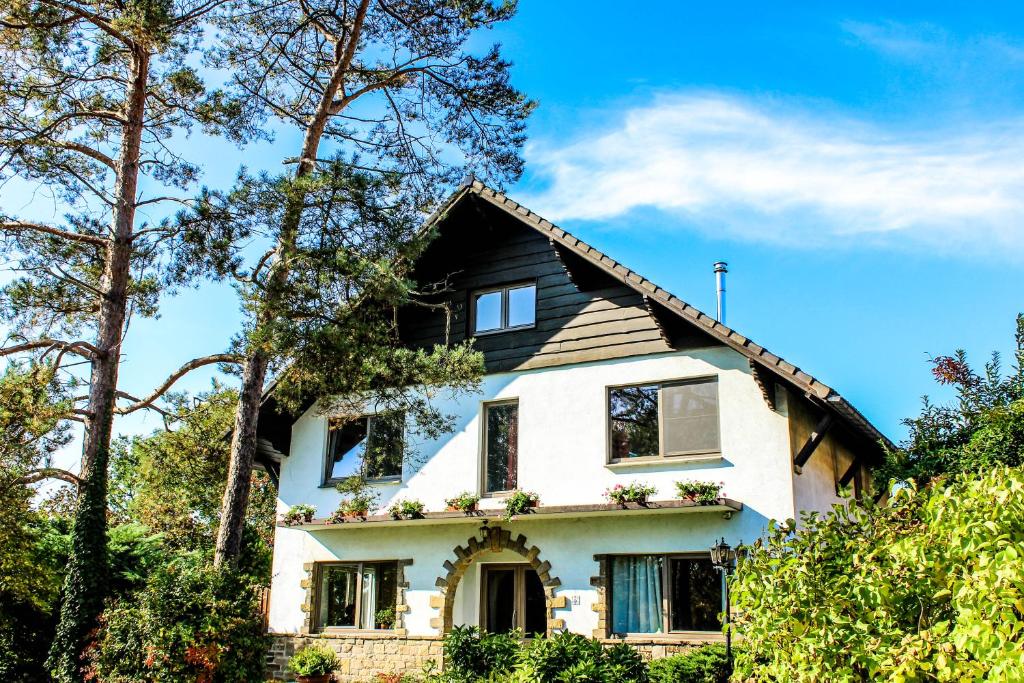 博爾赫隆的住宿－Villa Kakelbont Borgloon，黑色屋顶的白色房子