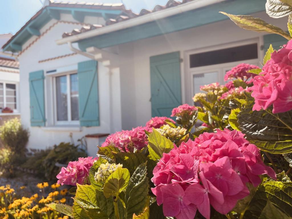Photo de la galerie de l'établissement La Vintage, à Saint-Gilles-Croix-de-Vie