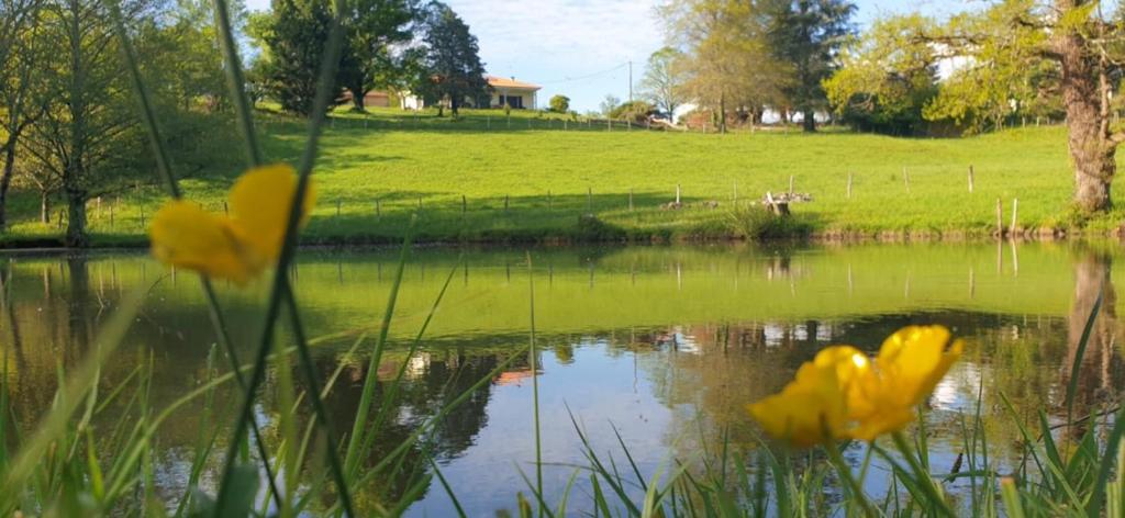 La Maison de Mendigou