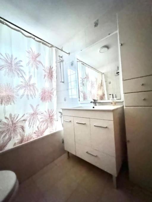 a bathroom with a sink and a mirror and a shower at Apartamento castorín in Los Arcos