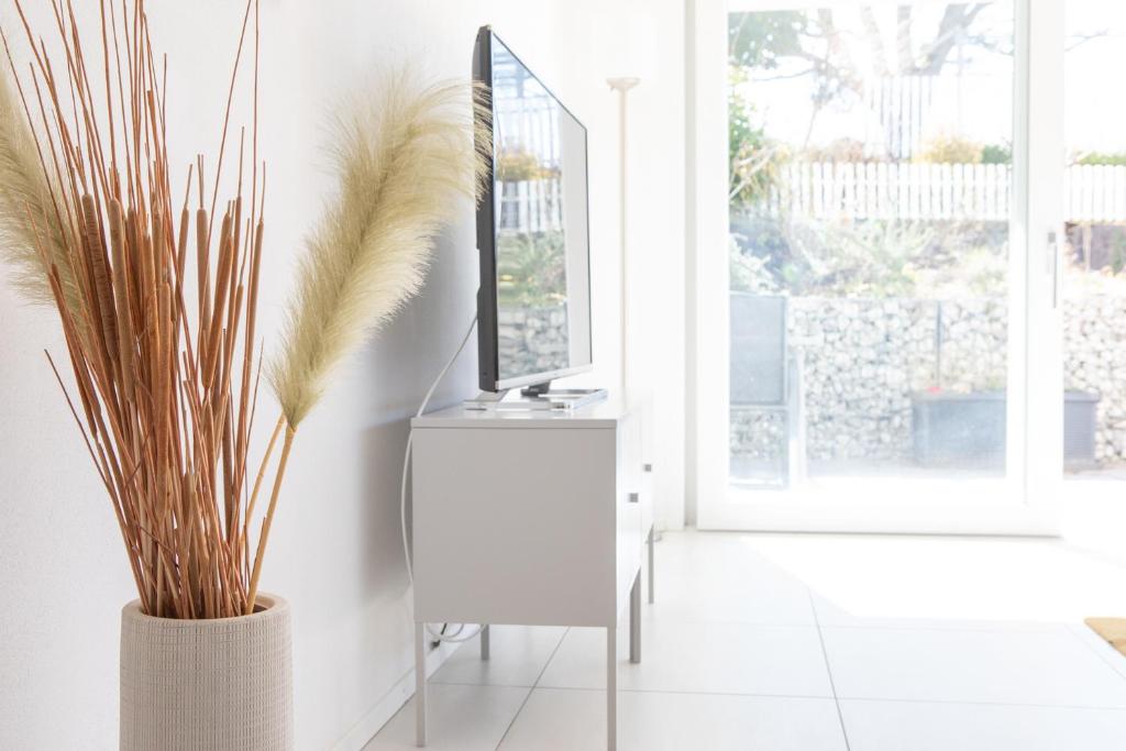 TV a/nebo společenská místnost v ubytování Elegant Suites Murten