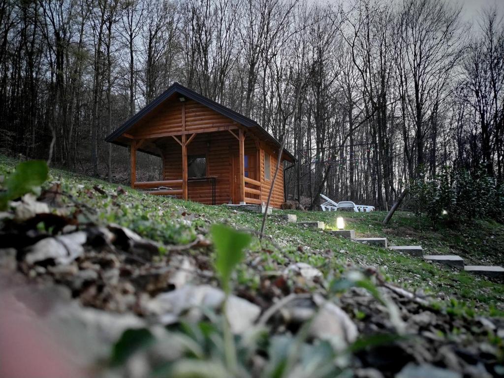 Příroda nedaleko prázdninového domu