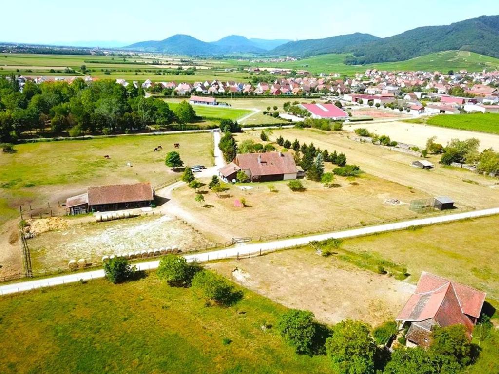 an aerial view of a village with a farm at L'Etoile du Vignoble au cœur d'un ranch alsacien sur la route des Vins in Dambach-la-Ville