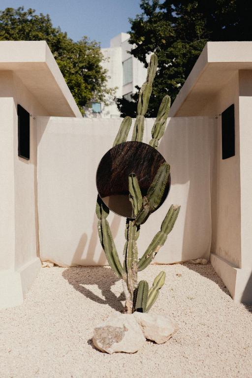 Zahrada ubytování Ixum, Casa Hotel Boutique