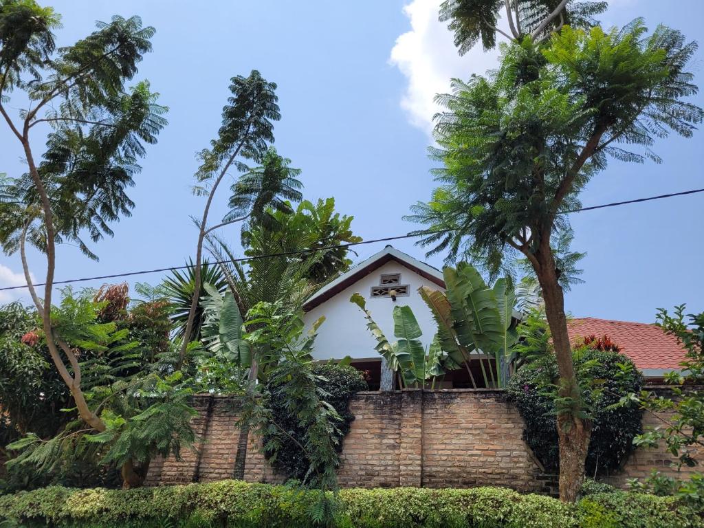 Taman di luar BahEJ House