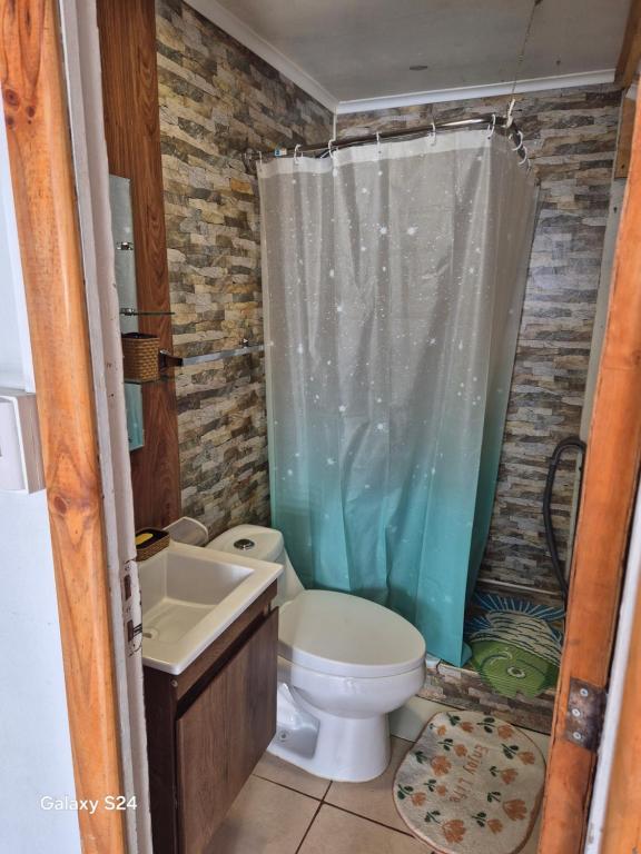 a bathroom with a toilet and a sink and a shower at Casa full equipada in Punta Arenas