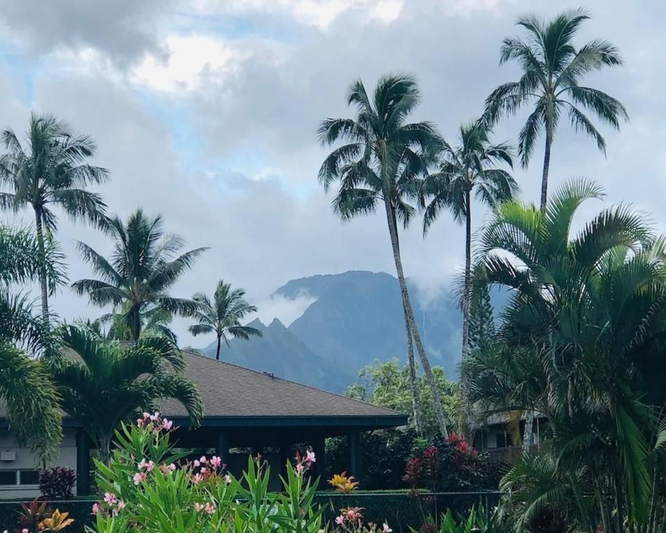 プリンスビルにあるPrinceville Townhouse Apt - Views, Pool, Near Hanalei!のヤシの木と山を背景にした家