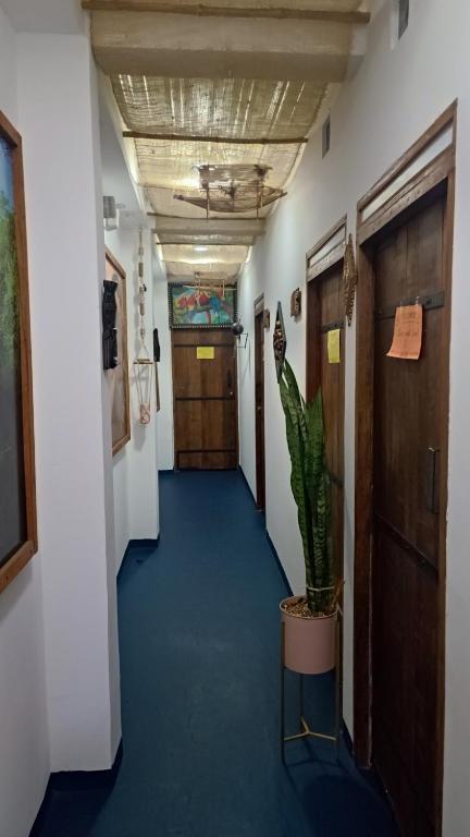 Fotografie z fotogalerie ubytování Hotel Gavas Amazonas v destinaci Leticia