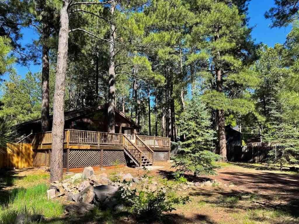 Twin Pines Cabin in the Woods, Mountainaire (updated prices 2025)