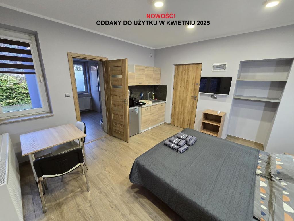 Televízia a/alebo spoločenská miestnosť v ubytovaní Apartamenty Pokoje DreamZone