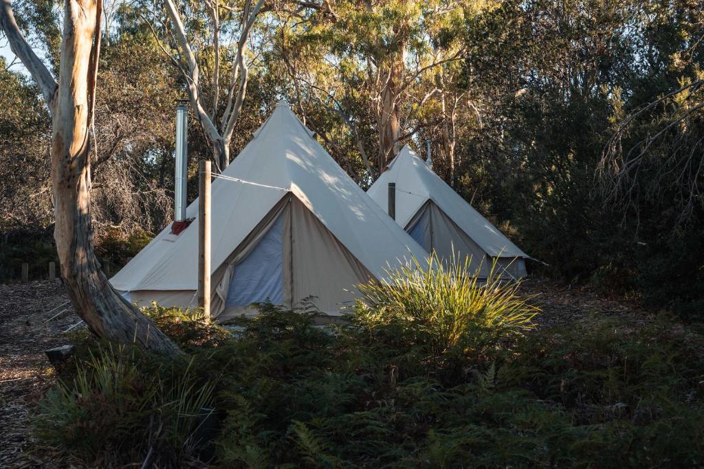 Zahrada ubytování Numie - Freycinet Peninsula - Glamping - Heated - Waterfront