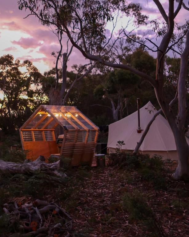 Zahrada ubytování Numie - Freycinet Peninsula - Glamping - Heated - Waterfront