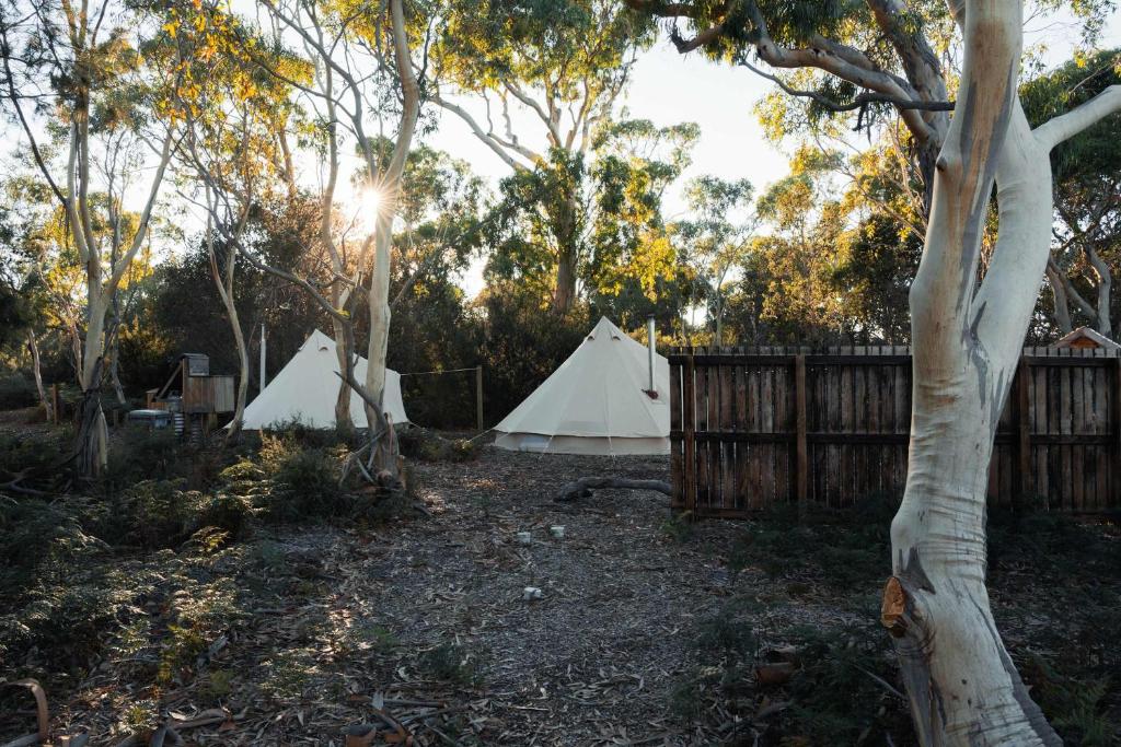 Zahrada ubytování Numie - Freycinet Peninsula - Glamping - Heated - Waterfront
