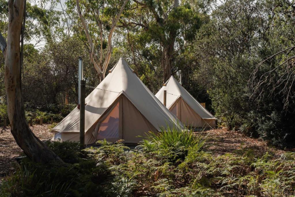 Zahrada ubytování Numie - Freycinet Peninsula - Glamping - Heated - Waterfront